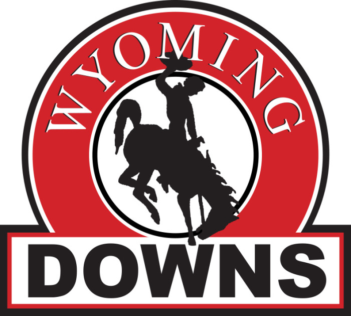 WYOMING DOWNS Vector logo_new Wyoming Downs