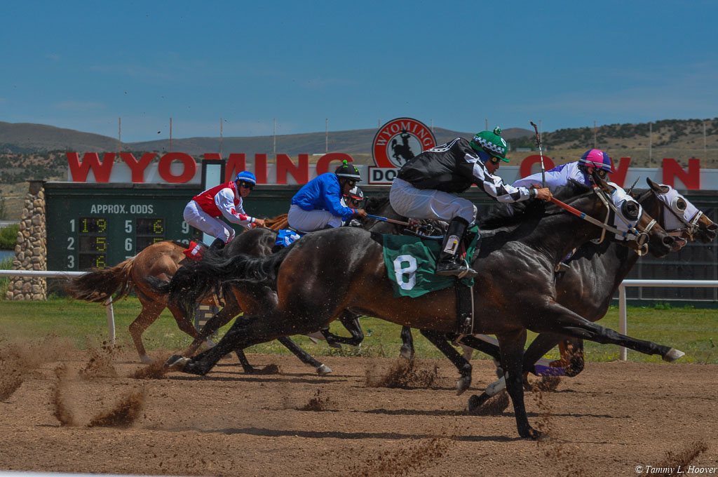 Media Wyoming Downs