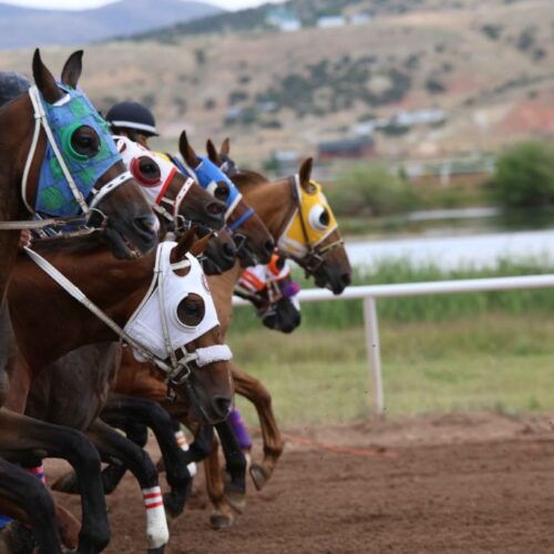 Wyoming-Downs-7-30-2016-9-1024x683