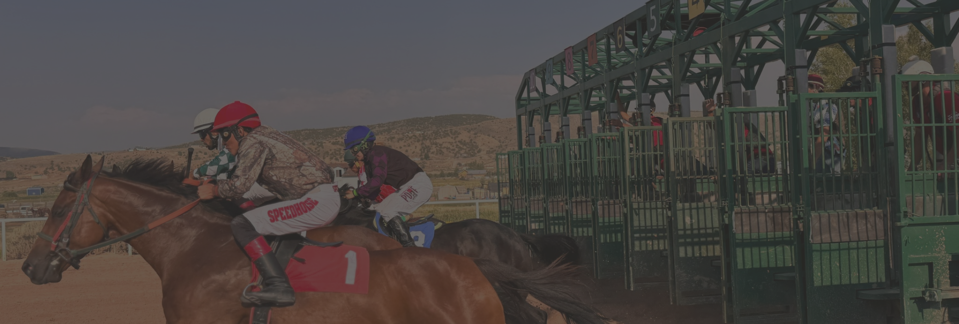 welcome to wyoming downs