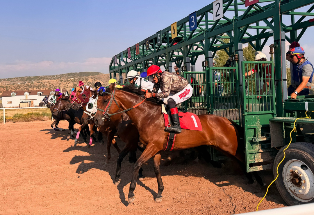 Wyoming Live Racing